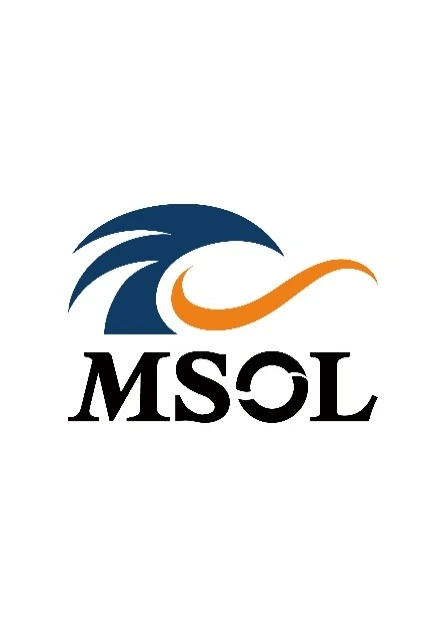 MSOLロゴ